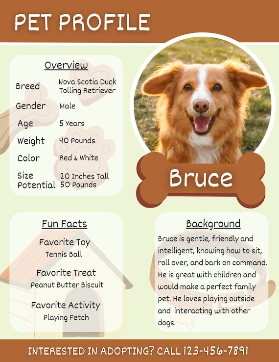 Animal Society Best Dogs To Adopt Adopt A Small Dogs Free To Good