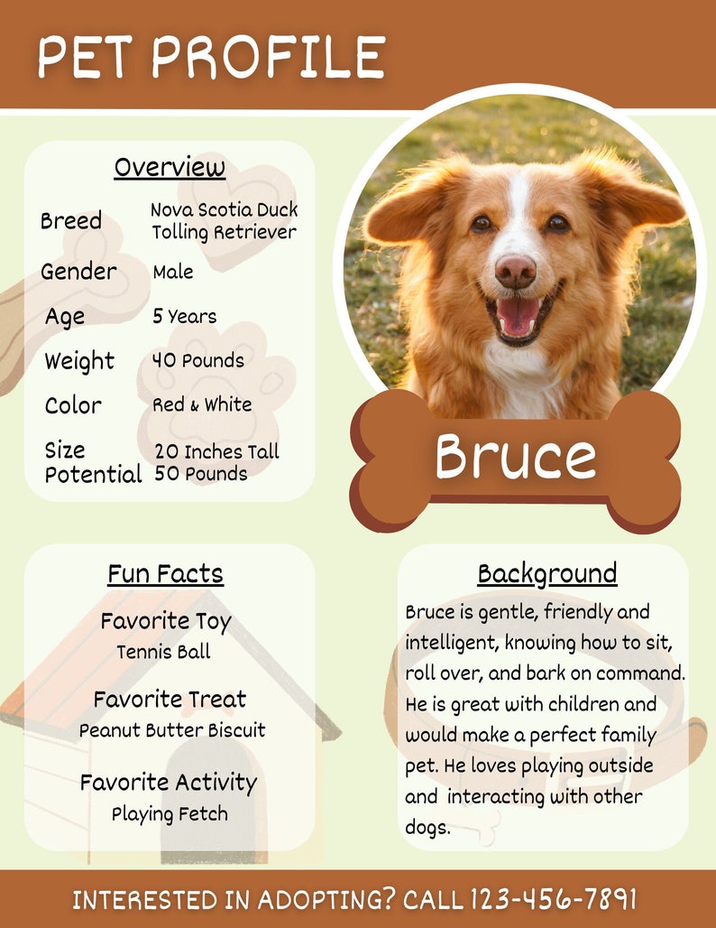 Dog Adoption Fact Sheet Canva Template, animal shelter, pet adoption, pet profile, foster dog bio, animal rescue, flyer image 1