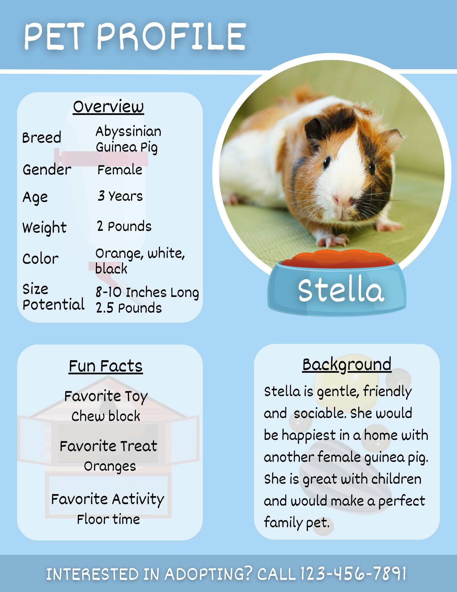 Humane Society Little Fur Ball Guinea Pig Rescue Pawhut Cage