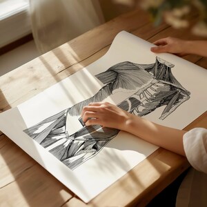 Anterior torso spiermassa menselijke anatomie print | Medische decoratie wanddecoratie | Osteopathie cadeau | Muurkunst voor studenten cadeau bewegingsapparaat
