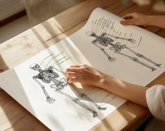 Anatomy Skeleton Diagram Poster | Clinic Wall Art