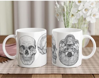 Skull Anatomy Mug White Ceramic | Medical Illustration | Anatomy Clinic Supply | Nurse Gift Doctor Gift Cranium Hand Drawn Biology