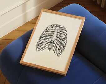 Rib Cage Anatomy Print | Hand Drawn Medical Illustration