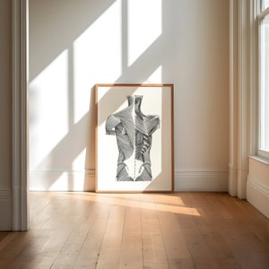 Back Musculature Human Anatomy Print | Medical Poster Wall Decor | Medical School Gift | Science Illustrations Biology Art Skeletal System