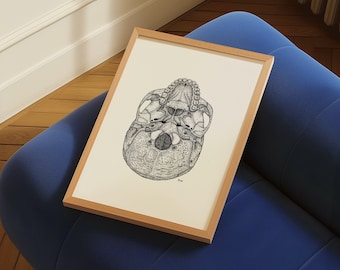 Skull Inferior Anatomy Poster Print | Clinic Decor Wall Hangings | Surgeon Gift | Physical Therapy Wall Pictures Cranial Foramen Drawing