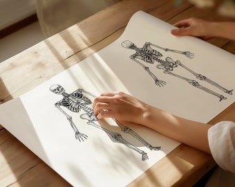 Skeleton Human Anatomy Print | Medical Decoration Wall Decor | Nursing Gift | Graduation Gift Wall Art Skeletal Illustration Diagram