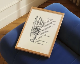Bones of the Foot Human Anatomy Print | Medical Decoration Wall Decor | Nursing Gift | Podiatry Doctor Wall Posters Hand Drawn Illustration