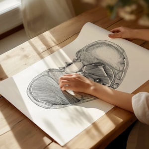 Póster de anatomía del suelo pélvico, decoración clínica, tapiz, regalo de graduación, regalo para profesores, lienzo para pared, salud femenina, embarazo