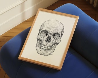 Anterior Skull Anatomy Print | Clinically Accurate Art for Osteopaths and Physiotherapists