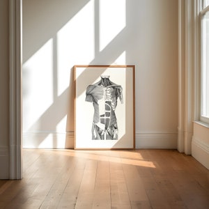 Torso Muscles Human Anatomy Print | Medical Poster Wall Decor | Medical School Gift | Science Drawing Illustrations Biology Skeletal System