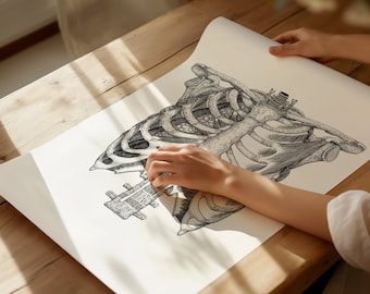 May include: A detailed black and white anatomical illustration of a human rib cage on a white sheet of paper. A person's hand is tracing the outline of the rib cage.