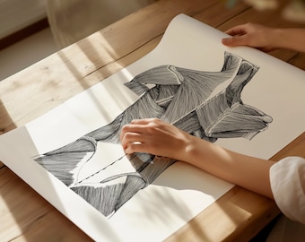 Back Musculature Anatomy Art Print | Hand-Drawn Clinic Decor For Osteopaths