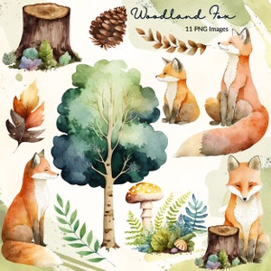 Clipart volpe acquerello, clipart bosco acquerello, clipart volpe, famiglia volpe carina, clipart acquerello, clip art animale, uso commerciale