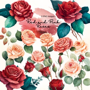 Clipart de rosas em aquarela, clipart de rosas vermelhas, clipart em aquarela, flores em aquarela, rosa e vermelho, clipart floral, uso comercial