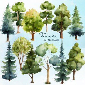 Aquarelle Arbre Clipart, Arbres Clipart, Aquarelle Clipart, Aquarelle Feuilles, Clipart, Feuillage, Forêt, Plantes, Clipart, Utilisation commerciale