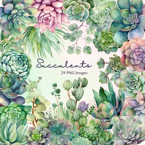 Imágenes prediseñadas suculentas de acuarela, imágenes prediseñadas de suculentas, imágenes prediseñadas de acuarela, follaje, imágenes prediseñadas de cactus, imágenes prediseñadas de cactus, plantas, uso comercial