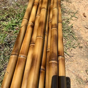 2” Diameter Flame Cured Bamboo Poles (You choose length) CUT TO ORDER