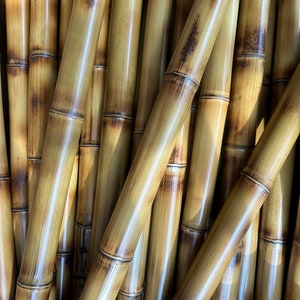 1.5” Diameter Flame Cured Bamboo Poles (You choose length and quantity) CUT TO ORDER Wedding arches crafts
