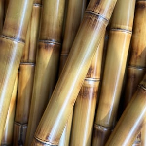 1” Flame Cured Bamboo Poles (You choose length) CUT TO ORDER