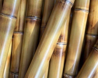 1.5” Diameter Flame Cured Bamboo Poles (You choose length and quantity) CUT TO ORDER Wedding arches crafts