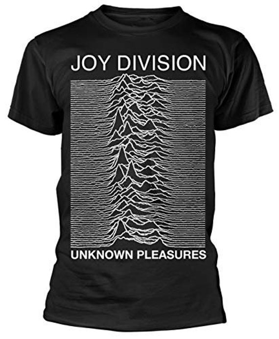 1993 90's JOY DIVISION tシャツ CLOSER Vintage Joy Division 