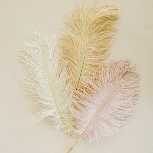 Set of 3 Natural Leather Ostrich Feather | Product Photography Prop | Add texture to Photography, Bouquets, Wedding Flat Lays, Product