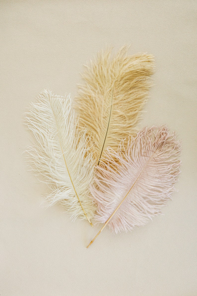 Set of 3 Natural Leather Ostrich Feather Product Photography Prop Add texture to Photography, Bouquets, Wedding Flat Lays, Product image 1