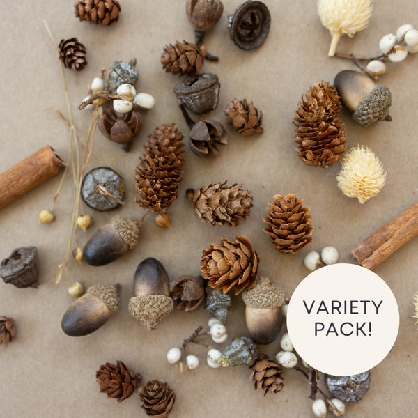 Fall Winter Dried Floral Set for Product Photography Props | Boho Photo Prop | Add Texture to your Brand Photography | Pinecones Acorns