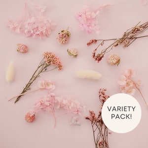 Pink and Cream Dried Floral Set for Product Photography Props | Boho Photo Prop | Add Texture to your Brand Photography | Jewelry Brands