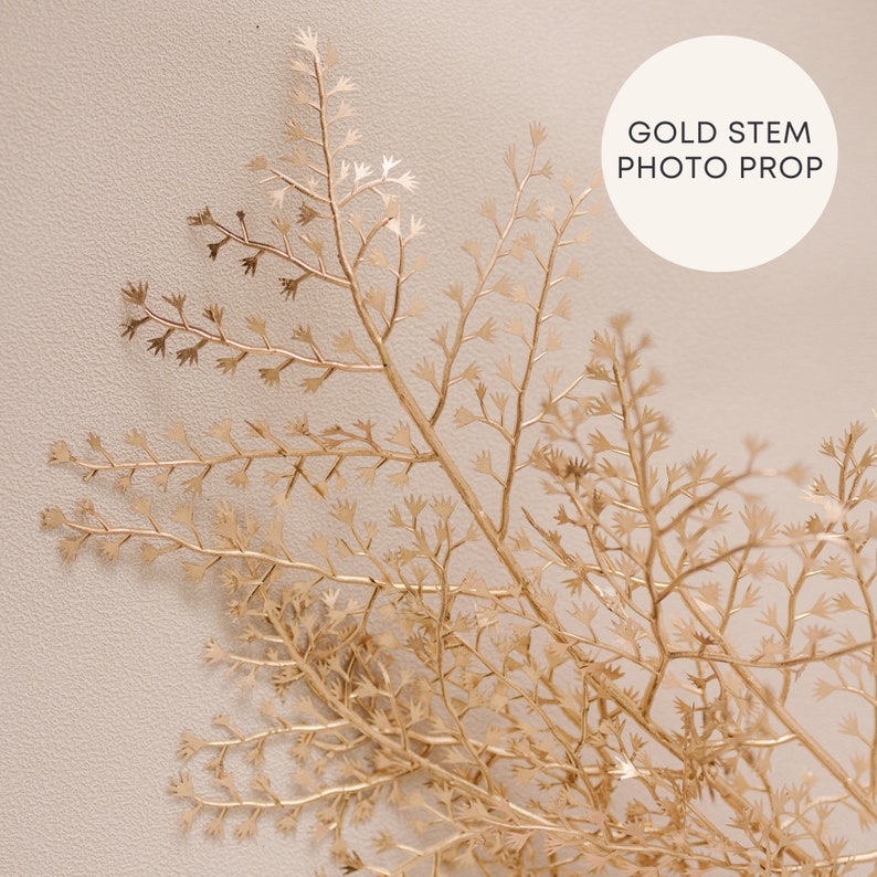 Set of 3 Gold Floral Stem Prop for Jewelry, Cosmetics and Seasonal