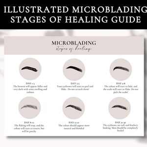 Microblading Stages of Healing Template | Microblading Artist Document | Microblading Business Document | Editable Microblading Client Form