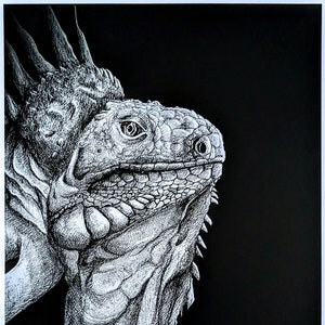 Original Art Print Iguana