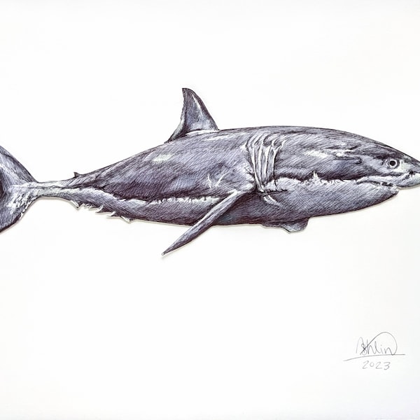 Original Art Print Shark