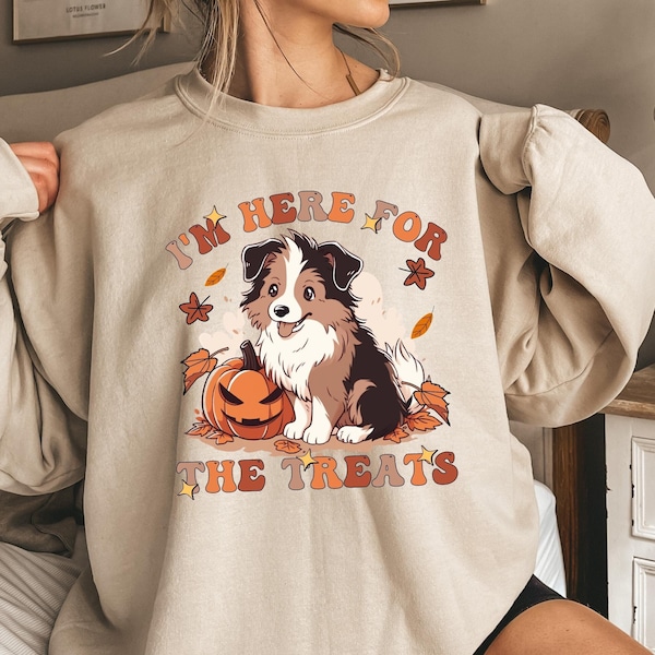 Halloween Sheltie Shirt, Spooky Season Sweatshirt, Party T-shirt, Halloween Gift For Sheltie Owner