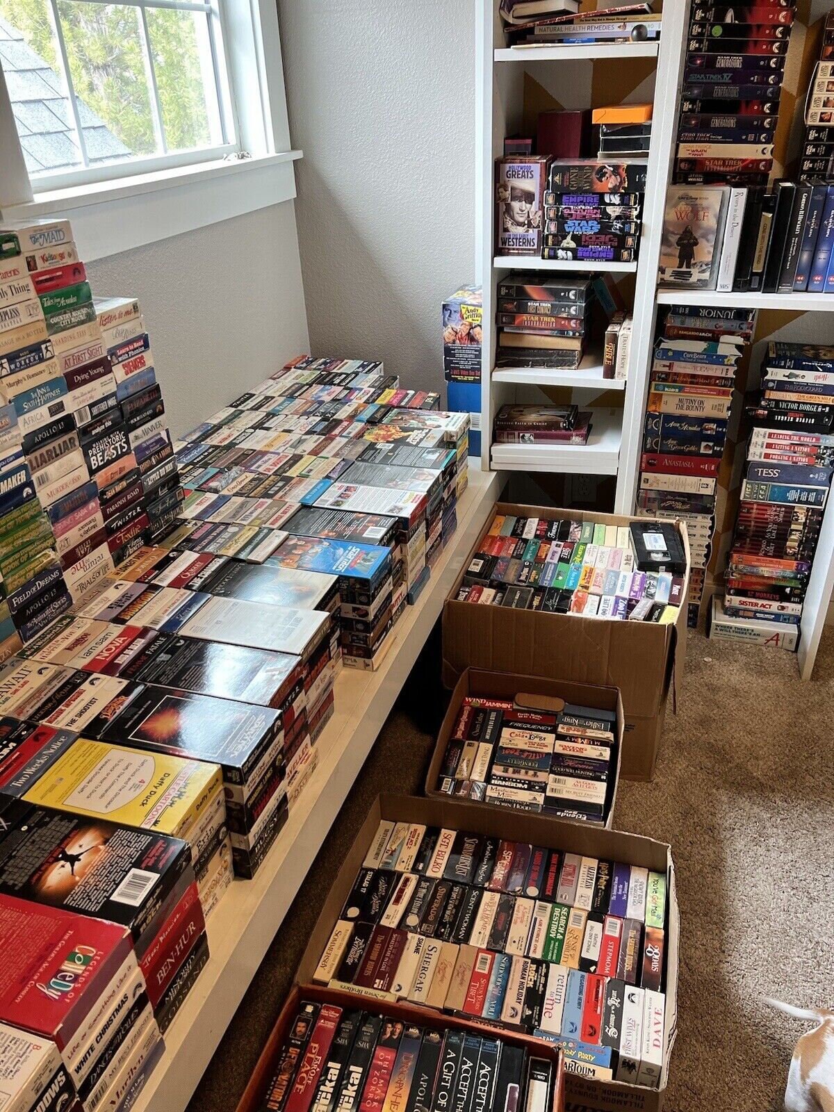 50 VHS Tapes for Wholesale Resellers All Genres Mixed Lot CHEAP Etsy