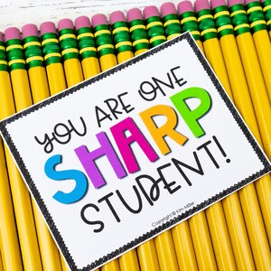 State Testing Motivation Bundle | Test Prep Games, Posters and Encouragement Notes Bild 14