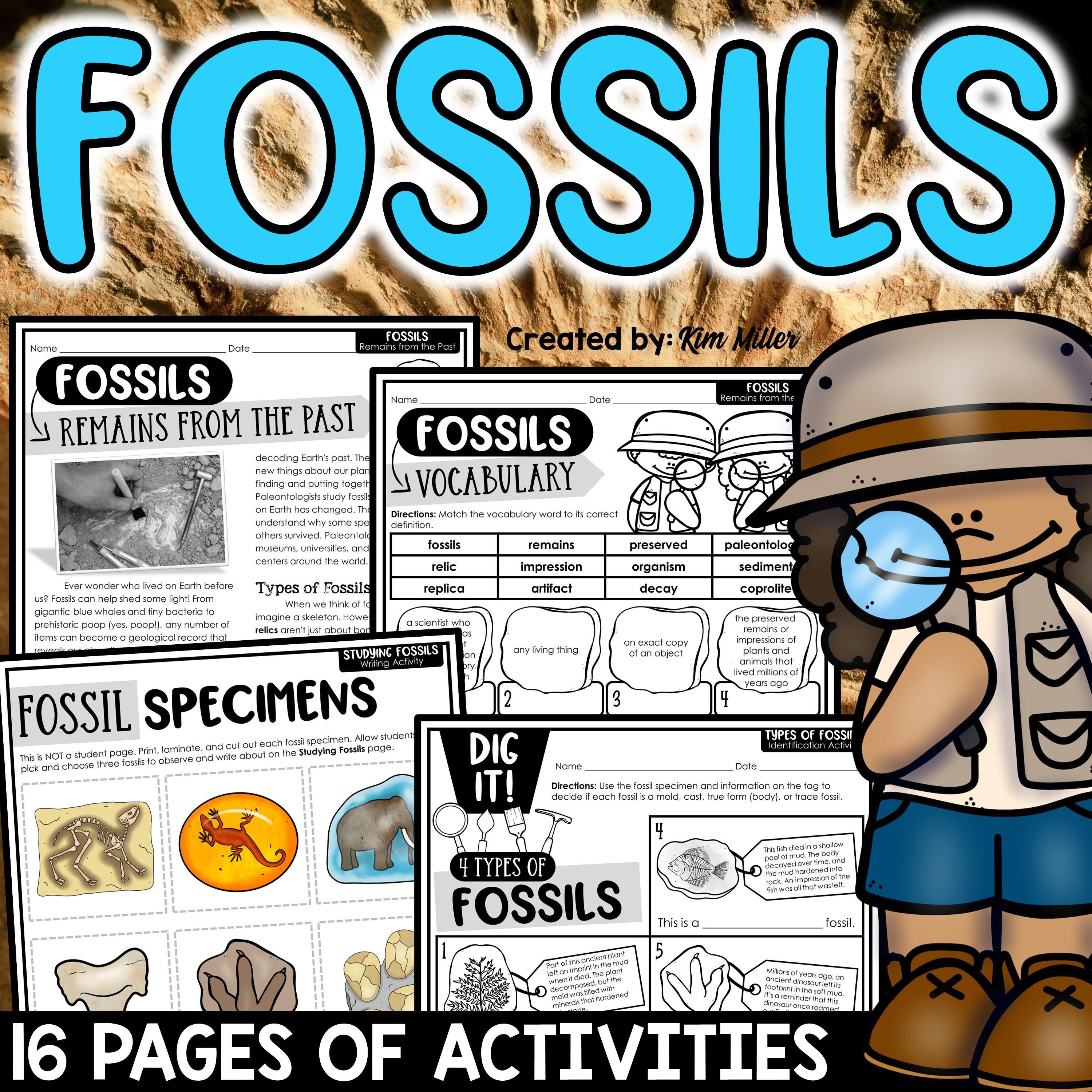 Types of Fossils Worksheets | Science Reading Comprehension Passages ...