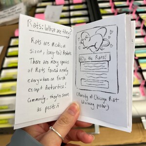 May include: A small, handmade booklet with handwritten text and illustrations. The cover reads "Rats: What are they?" and the inside includes the phrase "Kiss the Rats!" with a drawing of a rat. The booklet is held open by a hand.