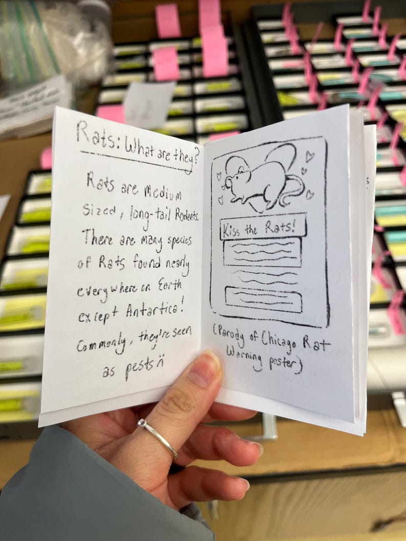 May include: A small, handmade booklet with handwritten text and illustrations. The cover reads "Rats: What are they?" and the inside includes the phrase "Kiss the Rats!" with a drawing of a rat. The booklet is held open by a hand.