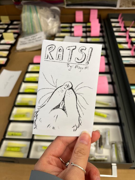 RATS! mini zine