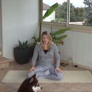 Cours Vidéos de Yoga : détox, détox émotionnelle, yoga aérien, postures avancées, anti blues, en cas de crise, etc.