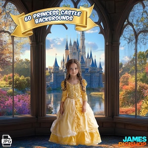 Princess Castle Digital Backdrops: Royal Party Backgrounds (60 JPG)