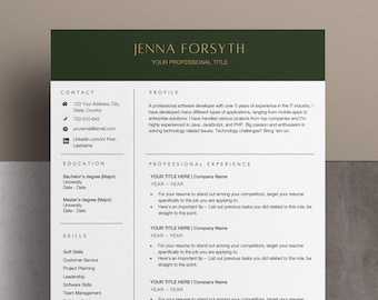 Resume Template Word, Modern CV Template for Professional and Executive, Creative Resume Template, Resume Template Pages, 2 Page Resume