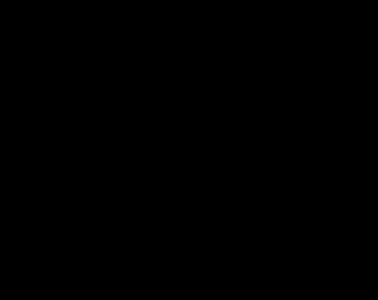 May include: A black and white image of a solid black background.