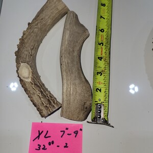 Antler dog chews