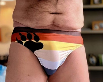 Gay Bear Pride Flag Men's Brief Style Swim Trunks, Rainbow Daddy Cub Swimsuit, Swimwear, Swimming Shorts