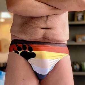 Gay Bear Pride Swim Briefs: Rainbow Daddy Cub Swimsuit