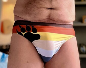 Gay Bear Men's Swim Briefs, Pride Flag Swimsuit, Rainbow Daddy Cub Swimwear Swimming Trunk Shorts