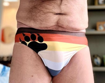 Gay Bear Men's Swim Briefs, Pride Flag Swimsuit, Rainbow Daddy Cub Swimwear Swimming Trunk Shorts