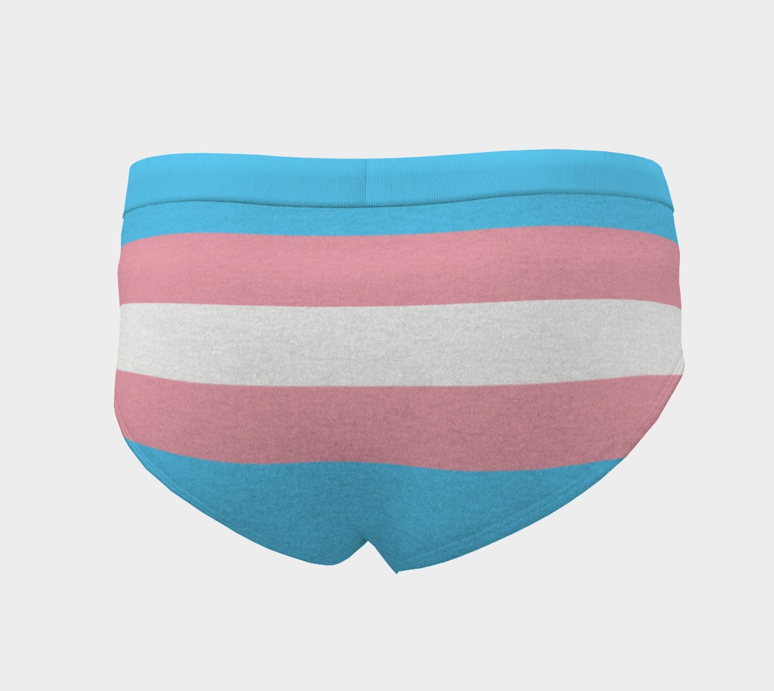 Trans Pride Underwear, Transgender Women's Lingerie, Rainbow Flag Panties,  LGBT Briefs, Queer Underpants -  Canada